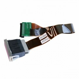 Ricoh Gen5 / 7PL-35PL UV Printhead, 50cm Long w/ the Head, 39cm Long for the Cable (Two Color, Long Cable) - N221414L